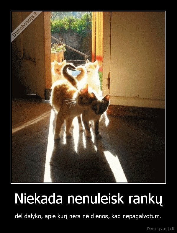 myleti, niekada, nevelu