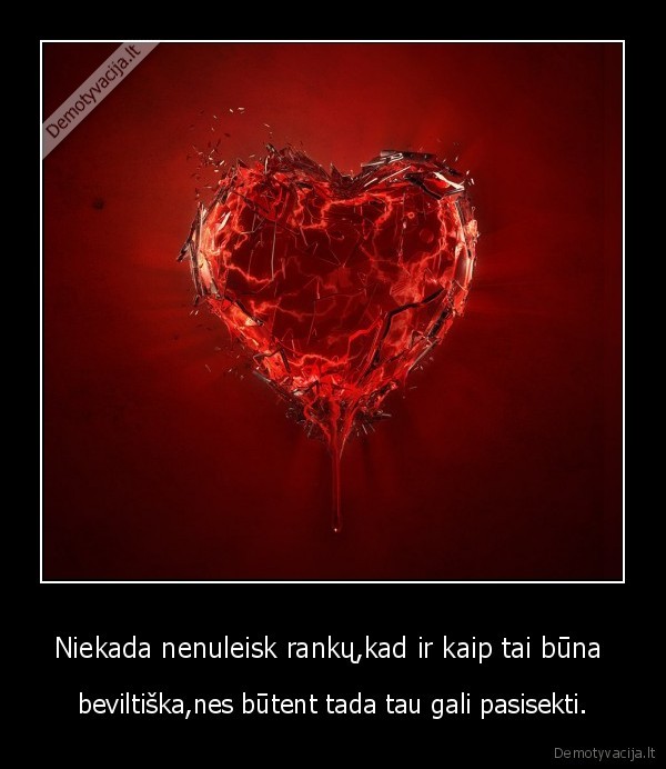 Niekada nenuleisk rankų,kad ir kaip tai būna 