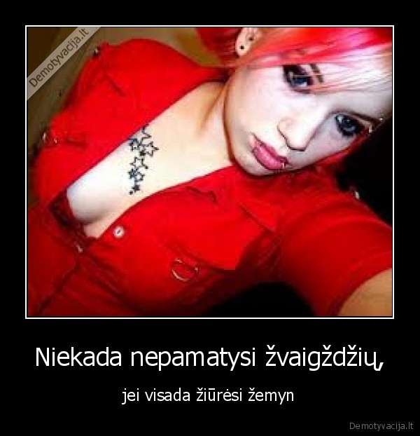 Niekada nepamatysi žvaigždžių,