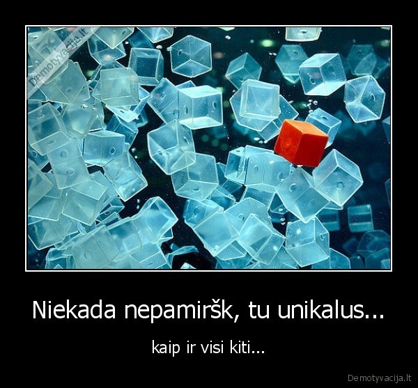 atsiduodu, uz, alu, ir, maista