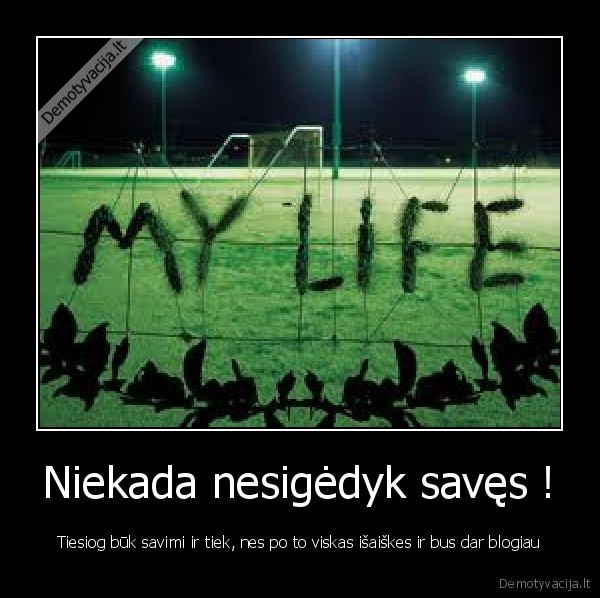 Niekada nesigėdyk savęs !