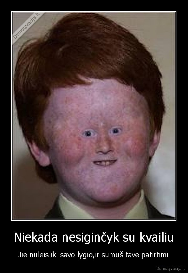 Niekada nesiginčyk su kvailiu