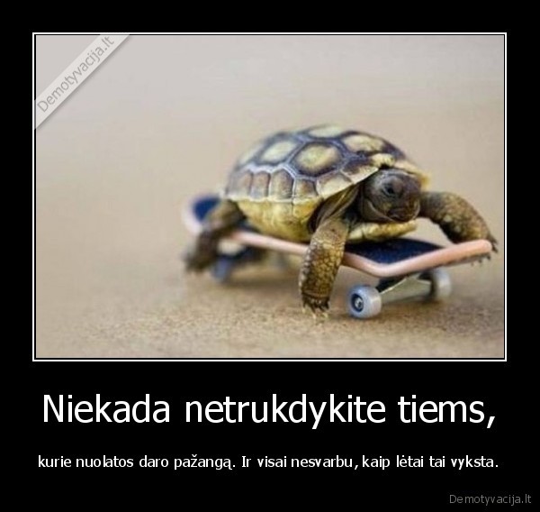 Niekada netrukdykite tiems,