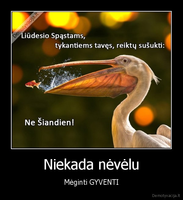 gyvenimas,gyvybe,sansai,pabegimas