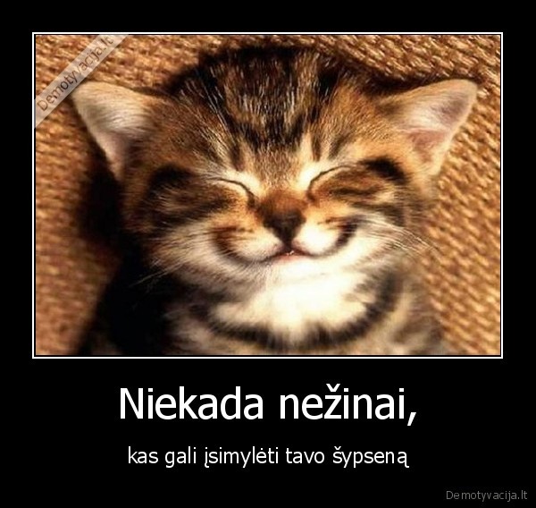 Niekada nežinai,