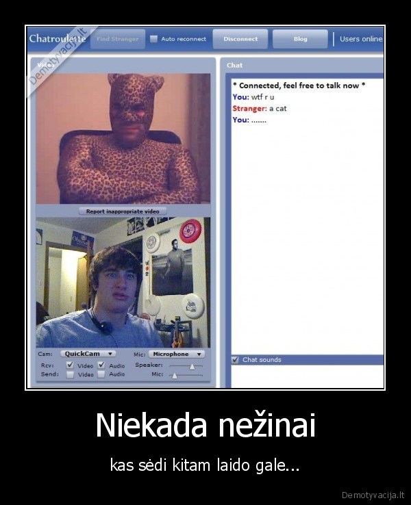 internetas,laidas,pokalbiai