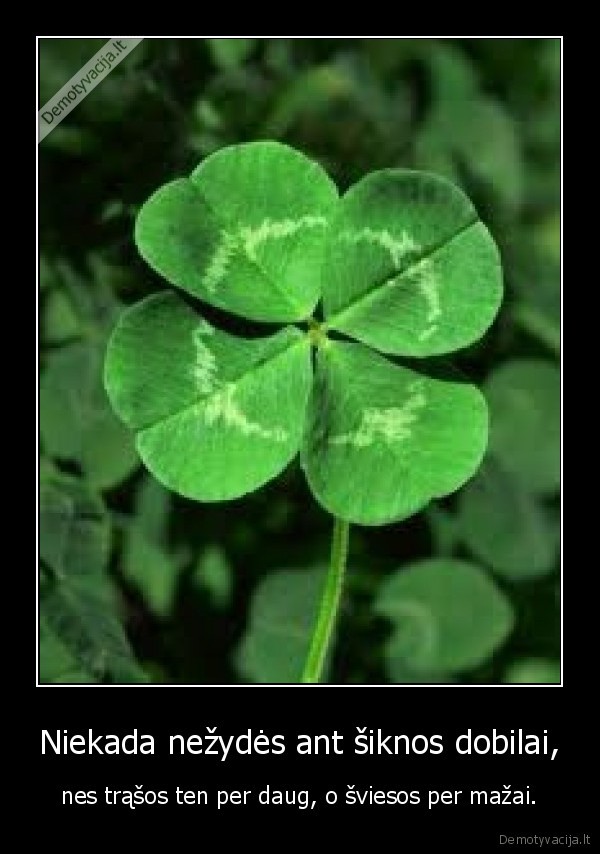 nu,bet,galit,ir,pabandyt,uzaugint,koki