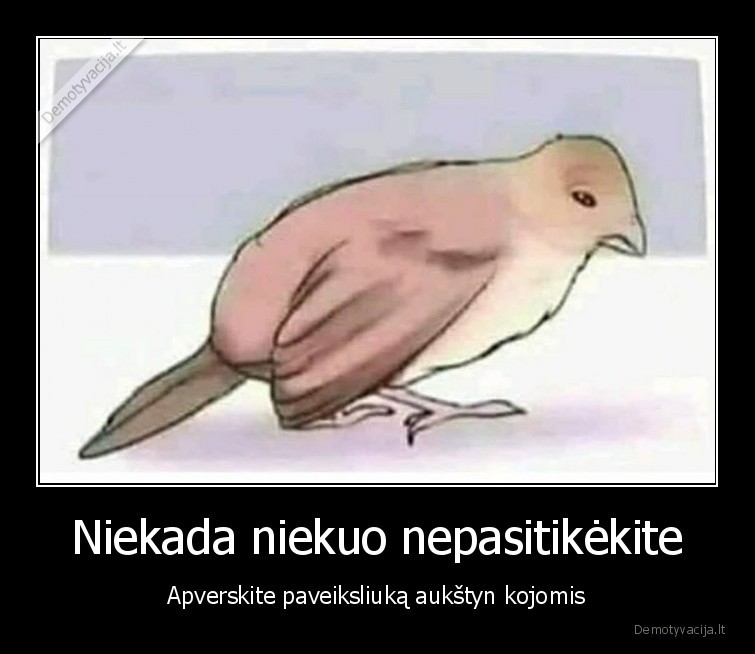 paveiksliukas,apversti,aukstyn,kojomis,paukstis