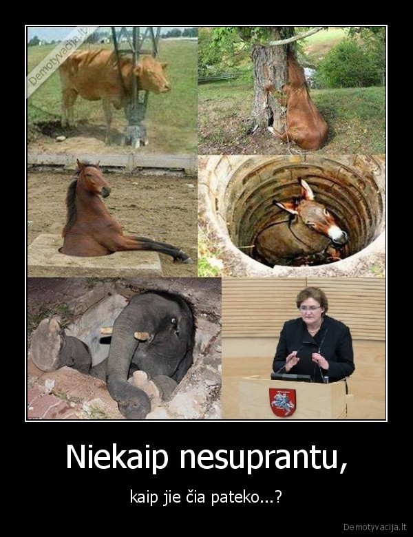 loreta,nesamones,daro,lietuvoj,krave,prilygstai,loretai,grauziniene