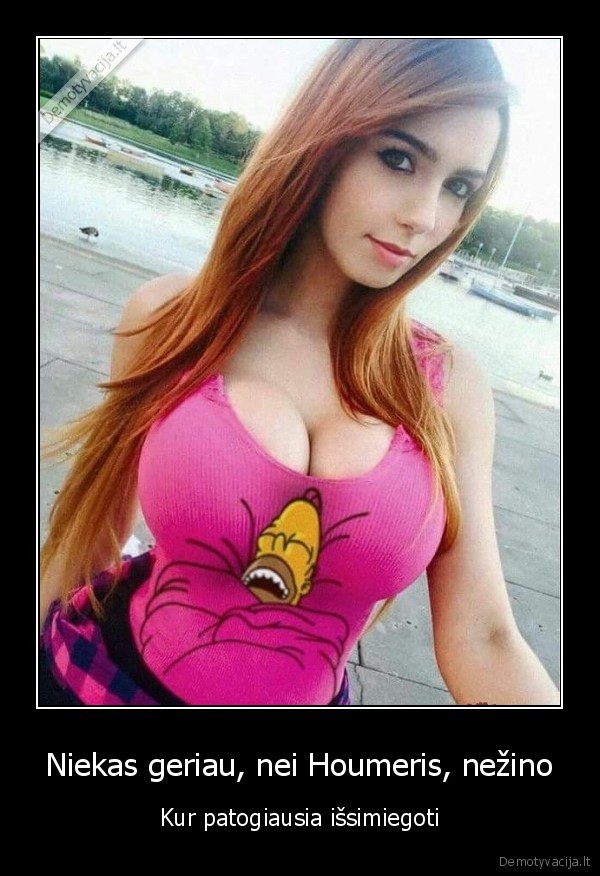 houmeris, simpsonas,papai