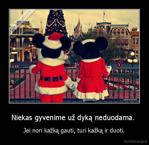 Niekas gyvenime už dyką neduodama. 