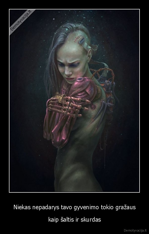 Niekas nepadarys tavo gyvenimo tokio gražaus