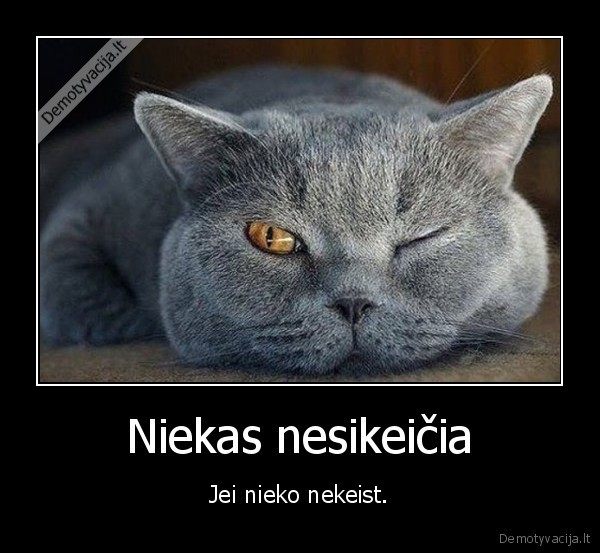 kesit,keiciasi,nesikeicia