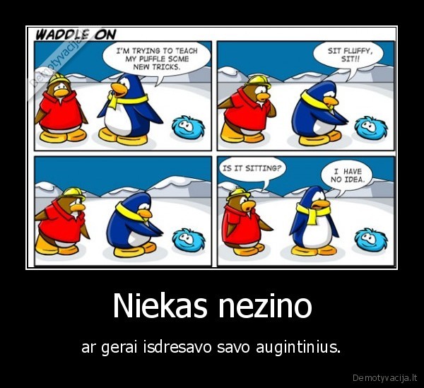 Niekas nezino