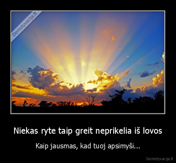 noras, i, tualeta,tas, jausmas,rytas