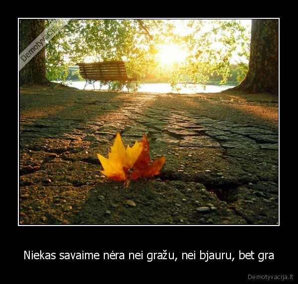 Niekas savaime nėra nei gražu, nei bjauru, bet gra