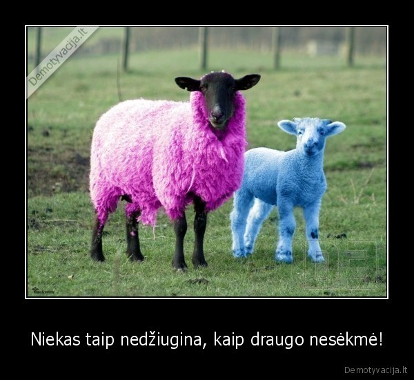 Niekas taip nedžiugina, kaip draugo nesėkmė!