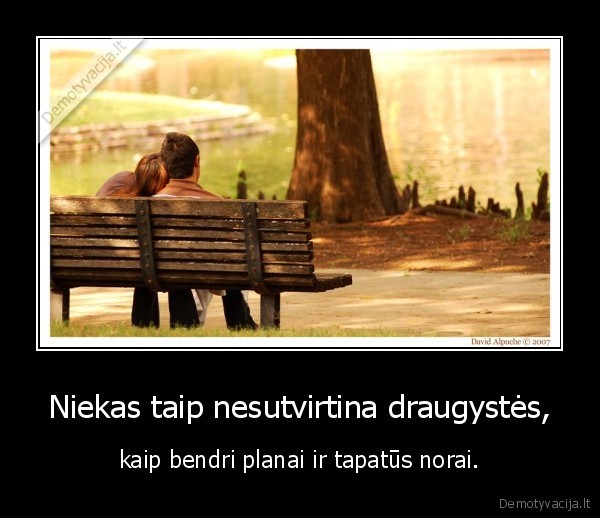Niekas taip nesutvirtina draugystės,