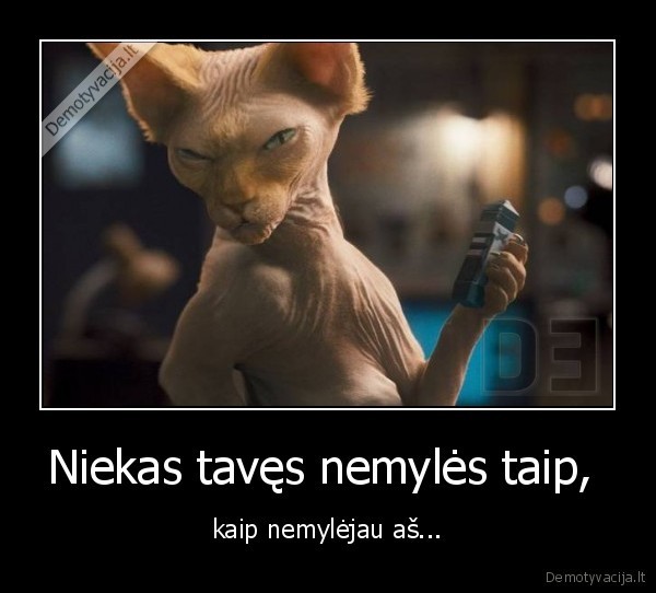 nieks,taves,nemyli,jee,nieks, taves, nepagailes