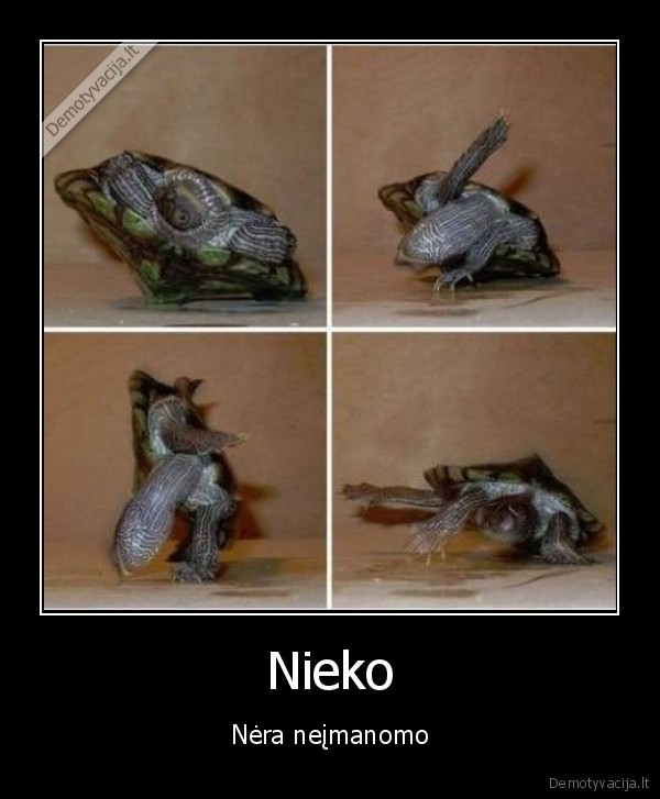 vezlys,neimanoma,apsivercia