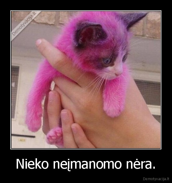 Nieko neįmanomo nėra.