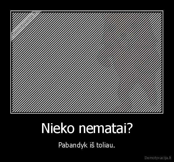 Nieko nematai?