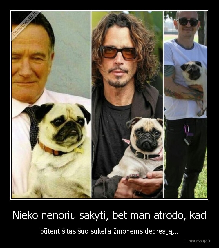 depresija,chester,robbie, williams,suo,mopsas