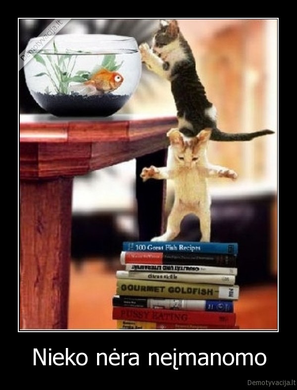 Nieko nėra neįmanomo