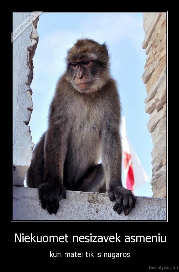 Niekuomet nesizavek asmeniu