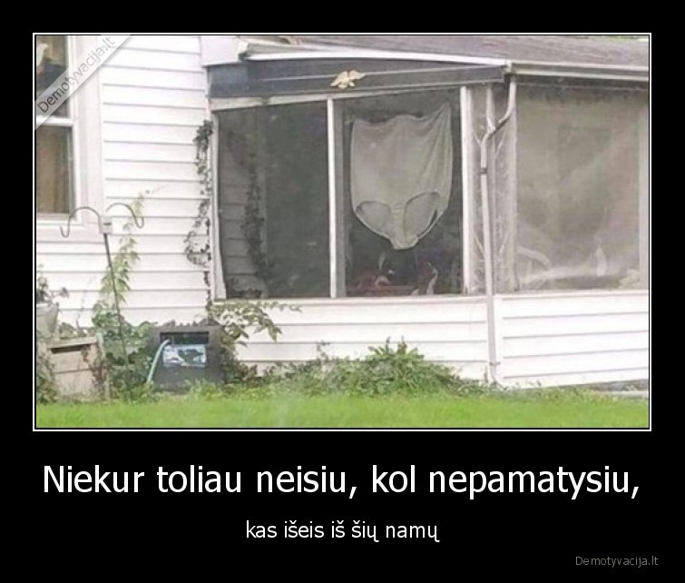 namai,didelis,zmogus