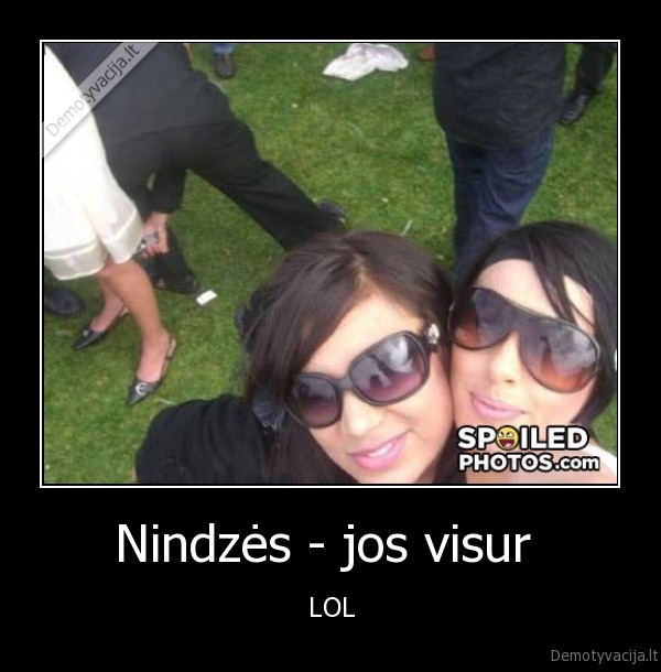 Nindzės - jos visur 