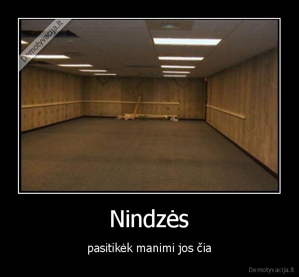Nindzės