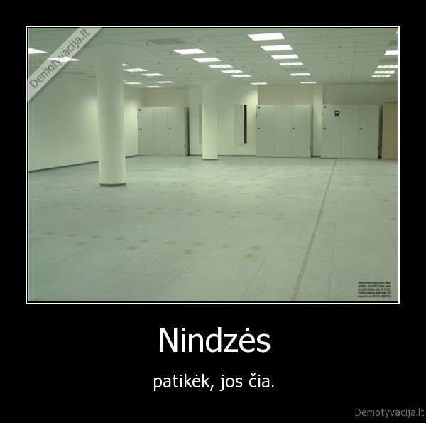 nindze,nindze,cia,kambarys