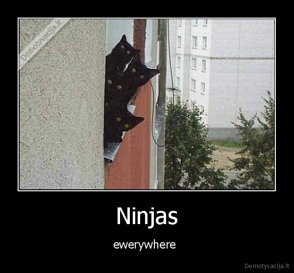 Ninjas