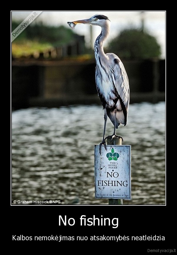 zvejoti, draudziama,nuo, atsakomybes, neatleidziama,neatleidziama