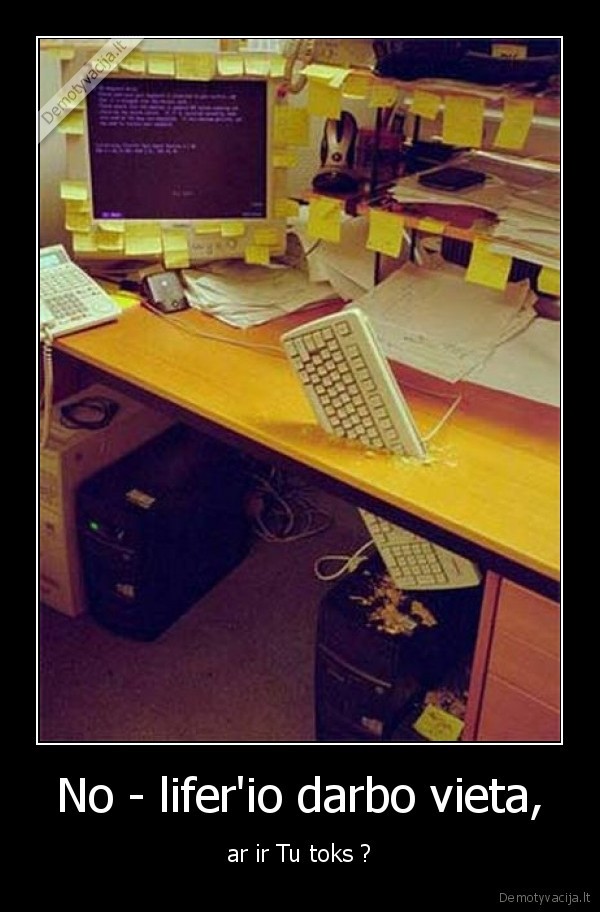 No - lifer'io darbo vieta,