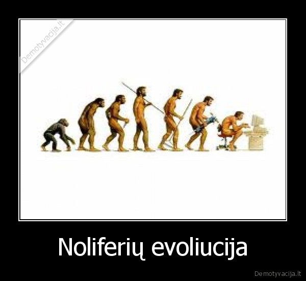 noliferiai,evoliucija,pc