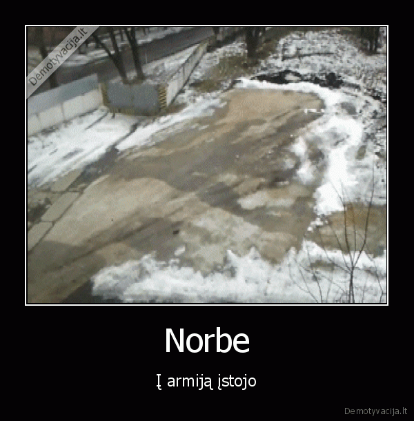 norbe,tanko, driftas