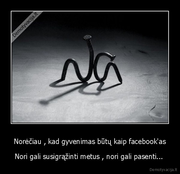 facebook,metai