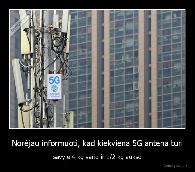 varis,auksas,antena,5g