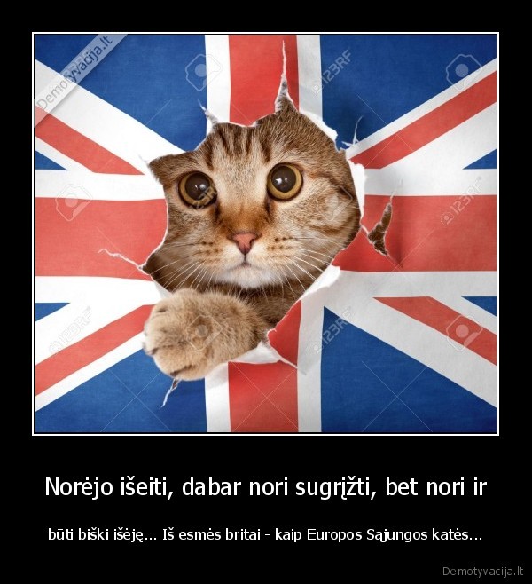 kates,brexit,britanija