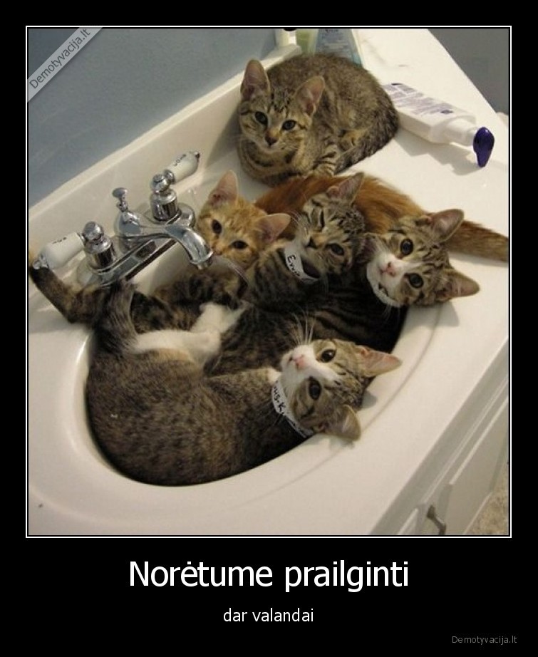 dar,valanda,prailginti,katinai