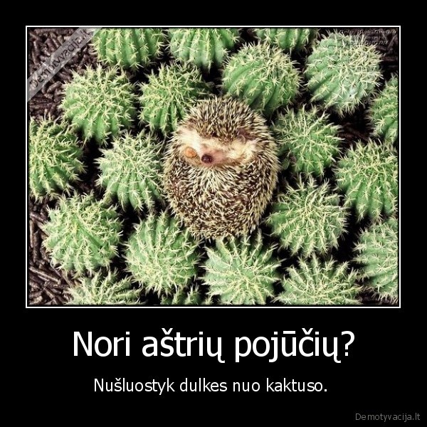 Nori aštrių pojūčių?