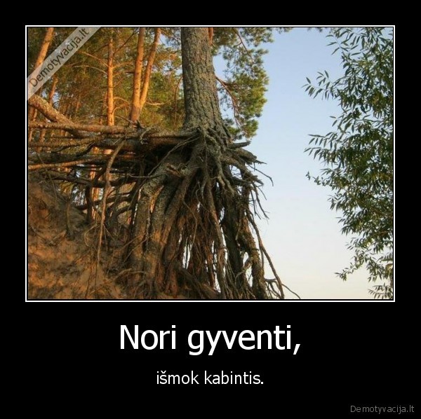Nori gyventi,