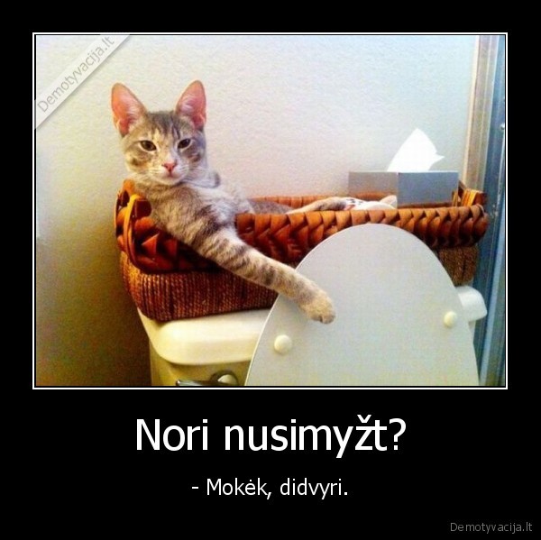 Nori nusimyžt?