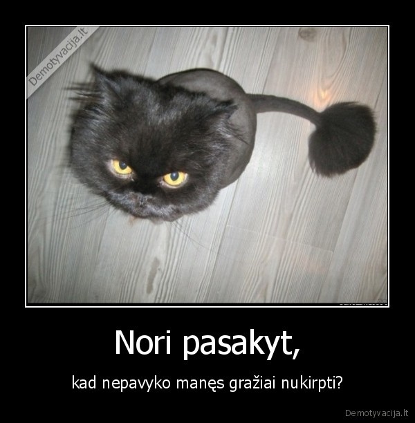 Nori pasakyt,