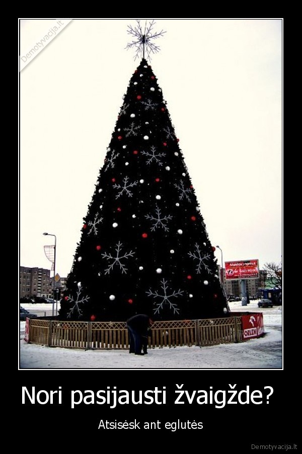 cia, viskas, labai, logiska