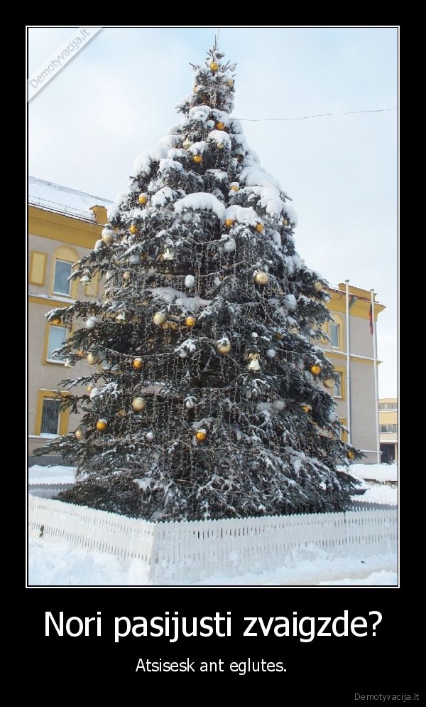 Nori pasijusti zvaigzde?