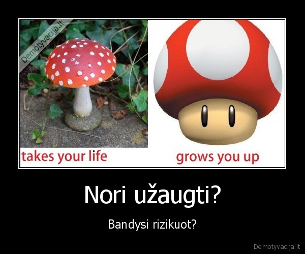mario, raudonas, baravykas