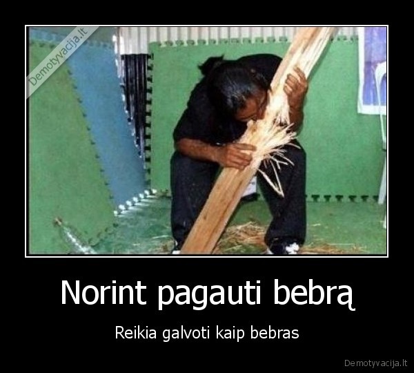 Norint pagauti bebrą